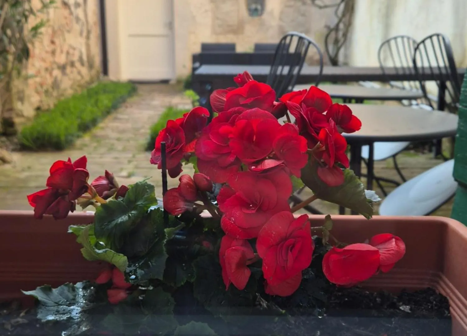 19 Borgo Cavour Bed & Breakfast Treviso